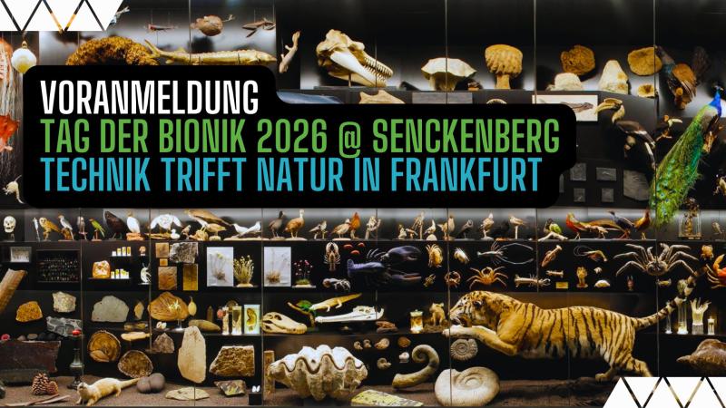 voranmeldung transmit tagderbionik 2026